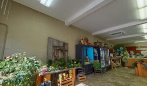 back yard floral wine lakeview 16