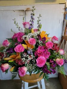 critter country north bend 271