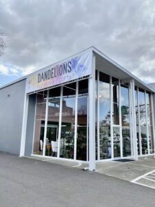 dandelions flowers gifts eugene 96