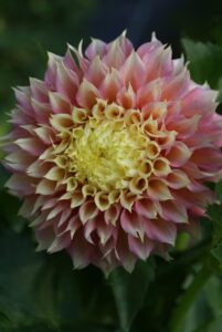 perkins family farm myrtle creek 322