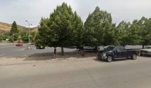 safeway floral lakeview 228