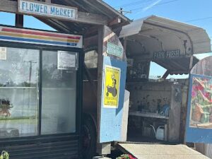 the flower farm at echo ranch damascus 352